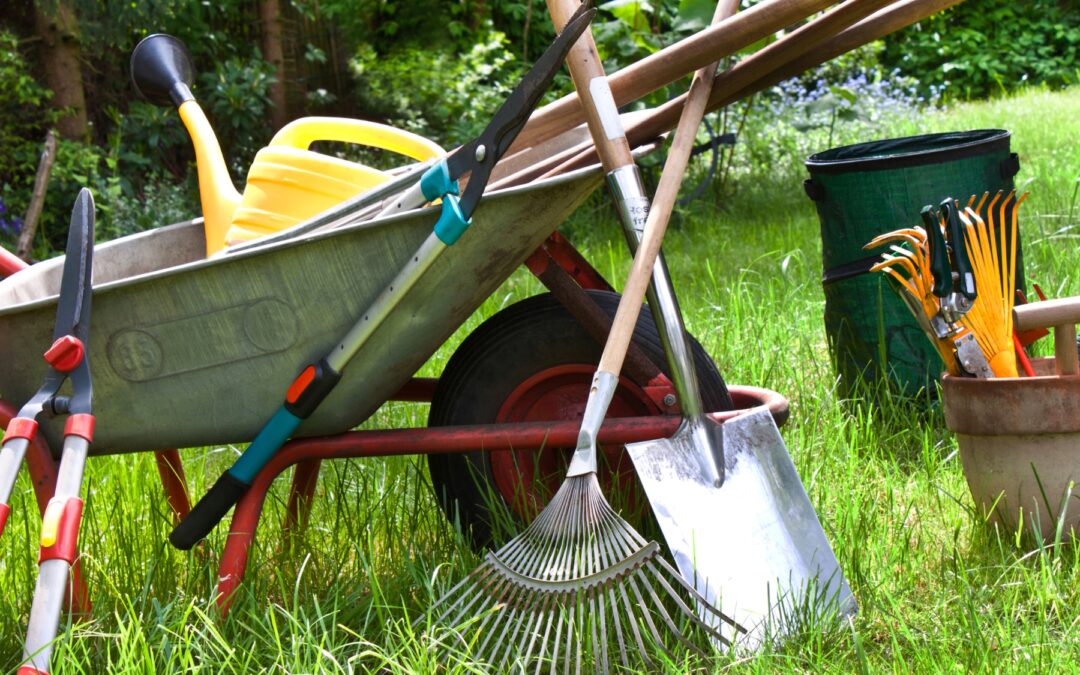 Les 6 meilleures outils de jardinage en 2023